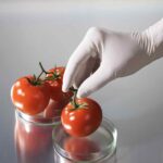 guantes para hosteleria